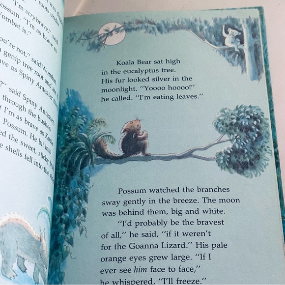 Brave Brush-Tail Possum Hardcover Picture Book - Picture 6 of 7